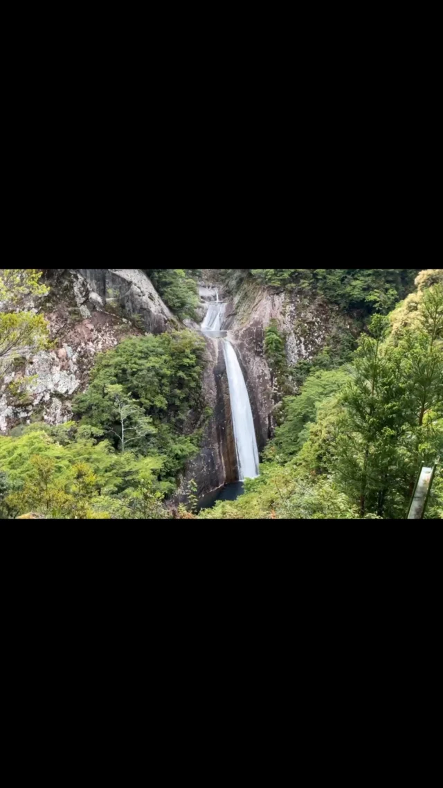 熊野へGO！
布引の滝
三重県熊野市にある、日本百選の滝の一つ。滝は四段からなっていて、大巾の布を垂らし流れ落ちる様子から『布引の滝』とつきました。

クマノザクラの調査後、立ち寄る景色の一つです。撮影したこの日は大雨の後だったせいか、布巾も広く、さらさらと静かに流れていました。

#布引の滝　
#日本百選の滝　
#三重県　
#熊野市　
#熊野へGO

#木楽nakamura 
#木楽　

@kiraku_ohkiraku